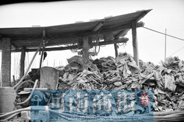 一个小编织袋撑开村级产业新天地——紫云板若村驻村书记带领村民开启增收路